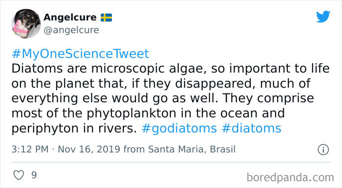 Scientists-Sharing-Most-Interesting-Facts-They-Know