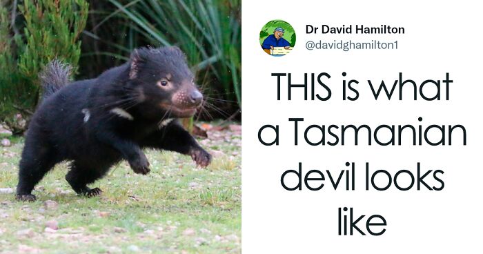 35 Scientists Share That “One Science Fact” They Wish The Whole World Would Know