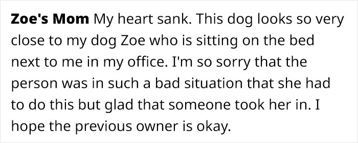 Woman Asked For Help On Social Media After Finding Abandoned Dog With A Note “I’m Sorry, Please Take Care Of Her” Woman Asked For Help On Social Media After Finding Abandoned Dog With A Note “I’m Sorry, Please Take Care Of Her”