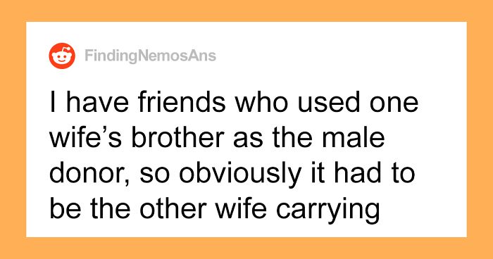 Someone Asks Lesbian Parents How They Decided Who Would Get Pregnant, 28 Give Honest Answers