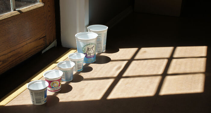 20 Personas de hogares pobres explican cosas que los niños ricos nunca entenderían