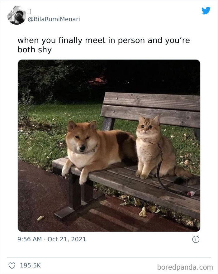 Memestodiscussintherapy