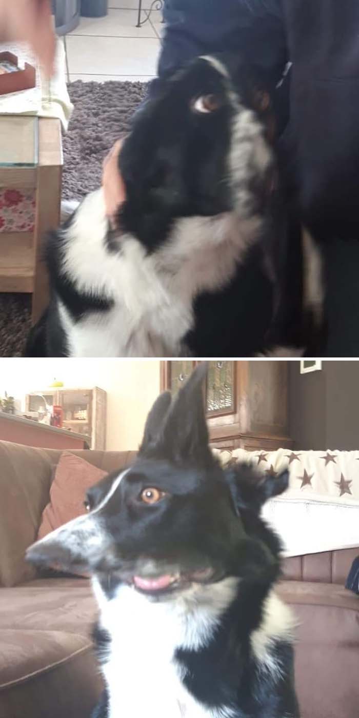 Failed Panorama Shots Of Me