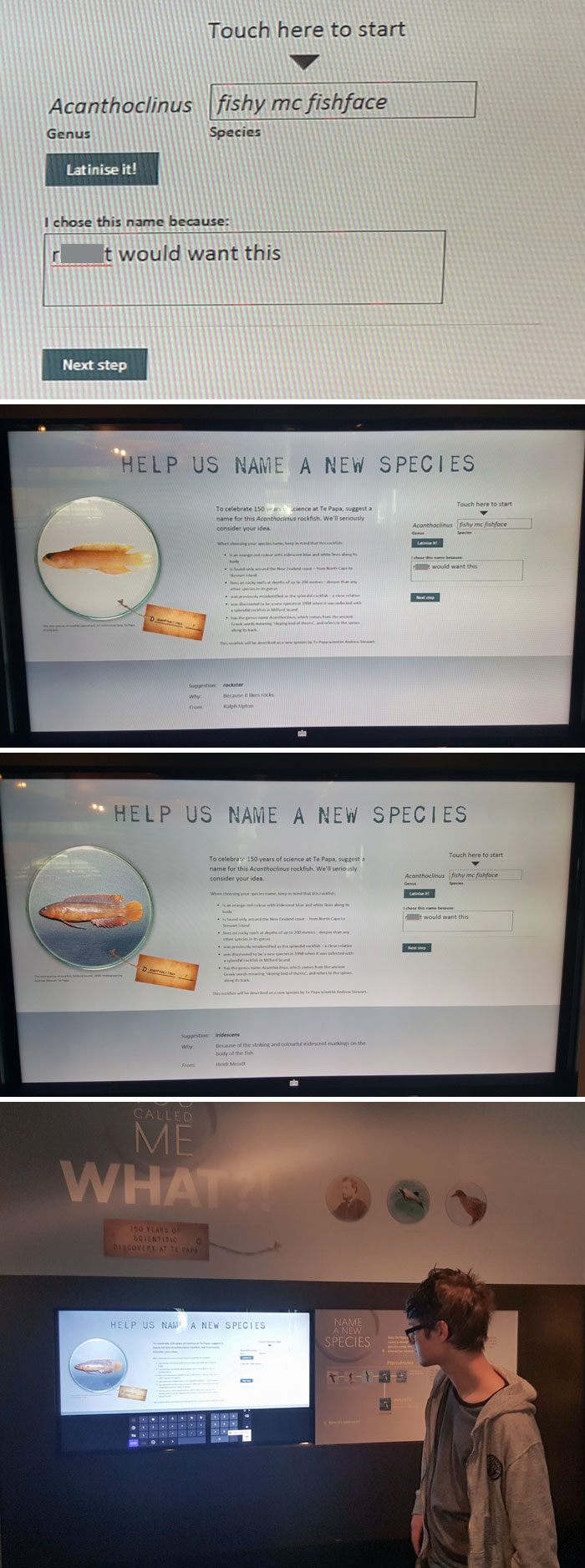 The National Museum Of New Zealand Is Trying To Name A New Species Of Fish