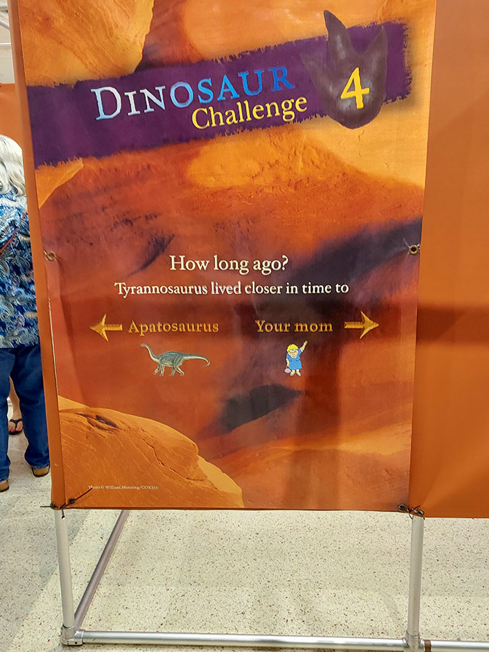 The Sign I Saw At A Museum