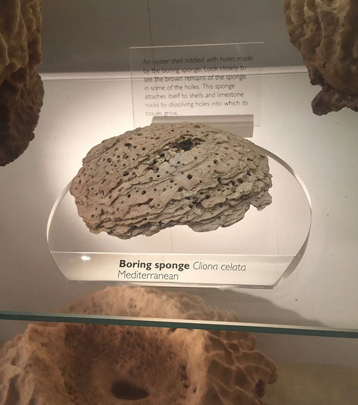 Found My Ex In The Natural History Museum