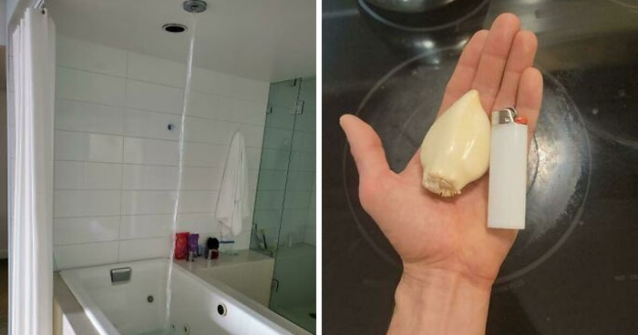 This Online Group Is Dedicated To ‘Mildly Interesting’ Stuff, And Here Are Their 50 Best Posts (New Pics)