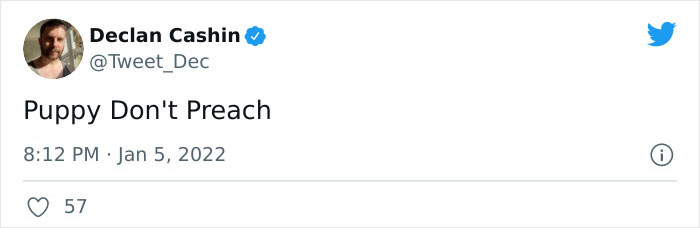 Pope-Francis-Selfish-To-Have-Pets-Instead-Of-Kids