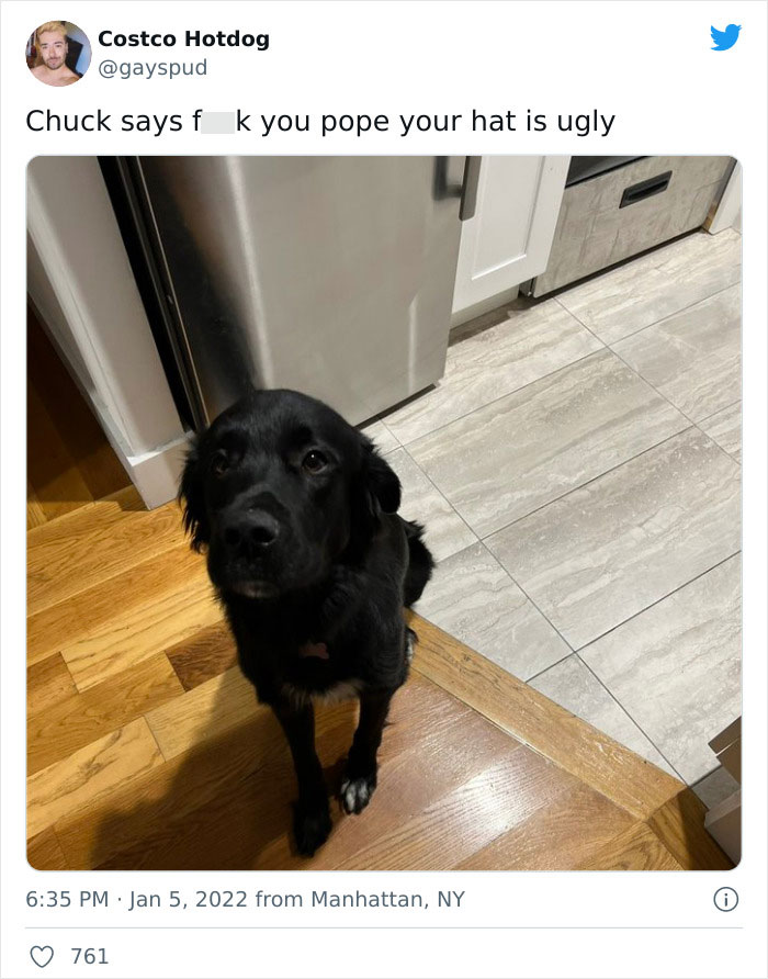 Pope-Francis-Selfish-To-Have-Pets-Instead-Of-Kids