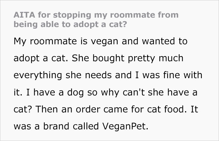 Woman Wanted To Get A Cat And Feed It Vegan Dry Food, Roommate Passes That On To The Shelter Worker And They Decline Her Application