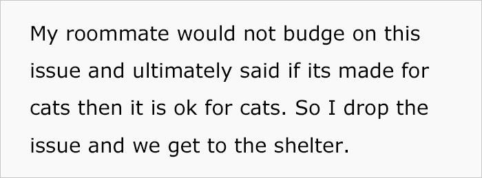 Woman Wanted To Get A Cat And Feed It Vegan Dry Food, Roommate Passes That On To The Shelter Worker And They Decline Her Application
