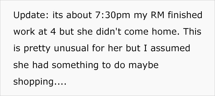 Woman Wanted To Get A Cat And Feed It Vegan Dry Food, Roommate Passes That On To The Shelter Worker And They Decline Her Application