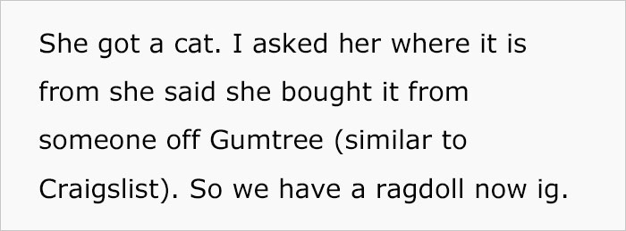 Woman Wanted To Get A Cat And Feed It Vegan Dry Food, Roommate Passes That On To The Shelter Worker And They Decline Her Application