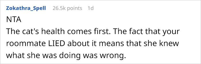 Woman Wanted To Get A Cat And Feed It Vegan Dry Food, Roommate Passes That On To The Shelter Worker And They Decline Her Application