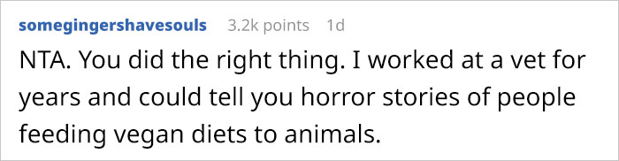Woman Wanted To Get A Cat And Feed It Vegan Dry Food, Roommate Passes That On To The Shelter Worker And They Decline Her Application