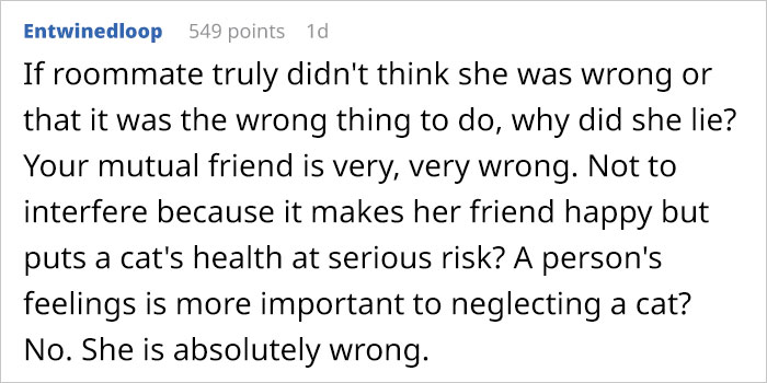 Woman Wanted To Get A Cat And Feed It Vegan Dry Food, Roommate Passes That On To The Shelter Worker And They Decline Her Application