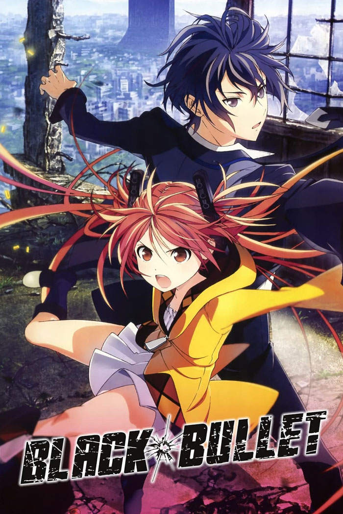 Black Bullet poster