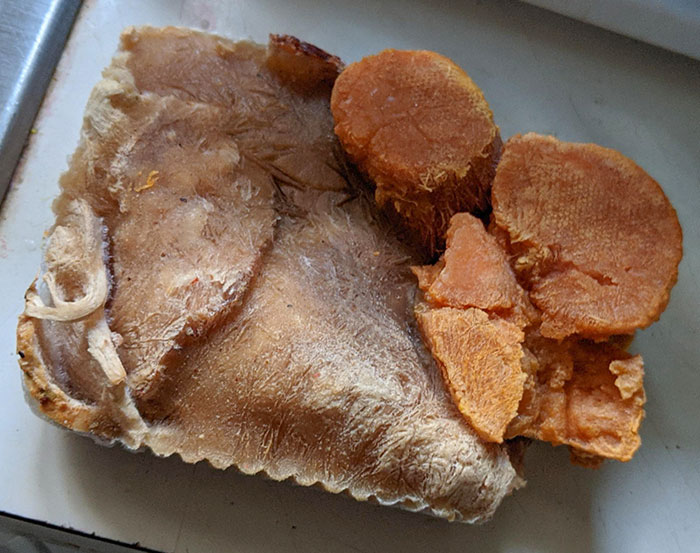 School Is Giving Out Free Frozen Lunches. Turkey With Gravy And Sweet Potatoes