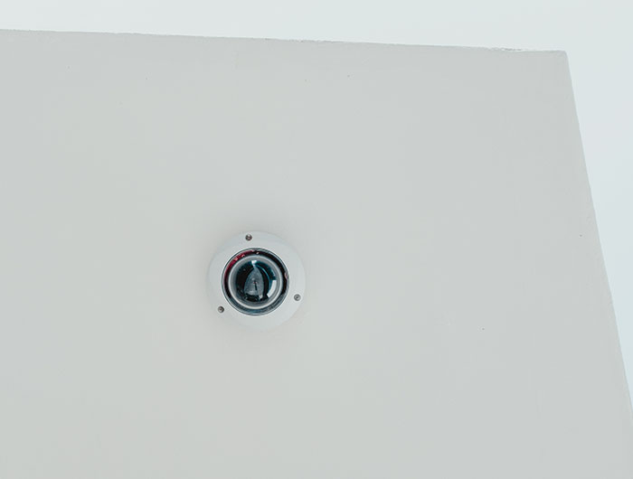 30 Times People Learned Disturbing Secrets About Someone After They Passed Away