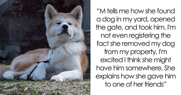Neighbor Trespasses Into Woman’s Yard, Takes Her Dog Thinking It’s A Stray, And Gives It Away To Friend, Then Gets Upset After Neighbor Comes To Take It Back From Them
