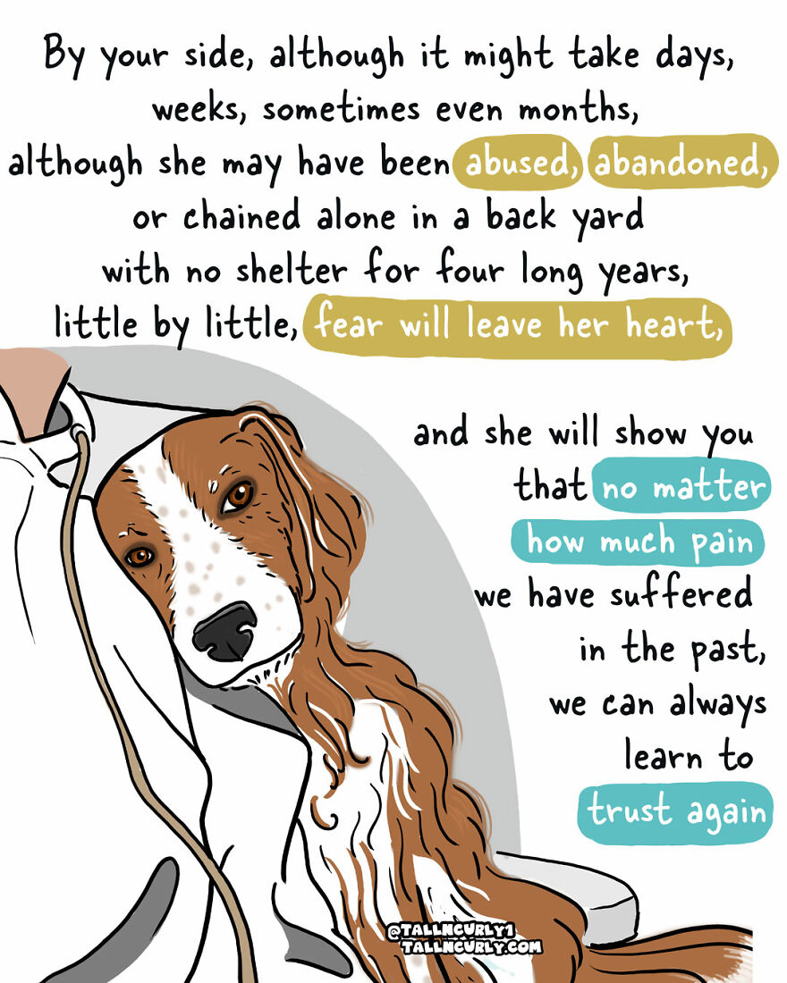 Why You Should Adopt, Not Shop: The Story Of My Rescue Dog Lola