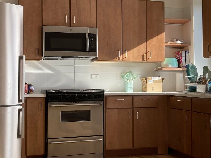 30 Cats Who Are The True Masters Of 'Hide And Seek' As Shared On This Twitter Page