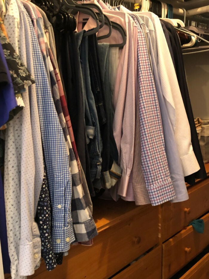 There-Is-No-Cat-Images