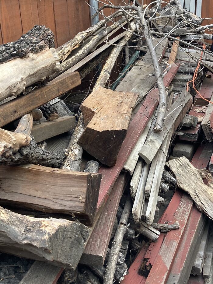 There-Is-No-Cat-Images