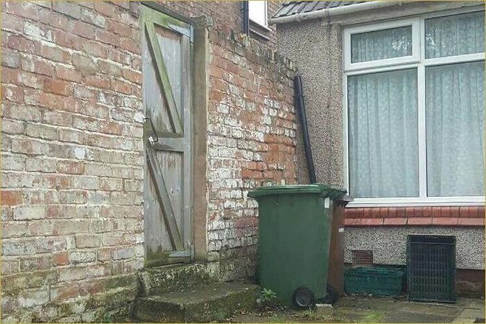 30 Cats Who Are The True Masters Of 'Hide And Seek' As Shared On This Twitter Page