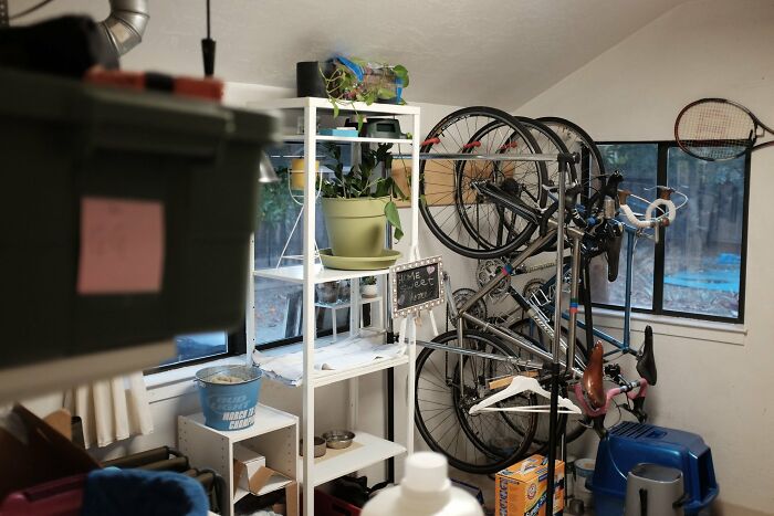 30 Cats Who Are The True Masters Of 'Hide And Seek' As Shared On This Twitter Page