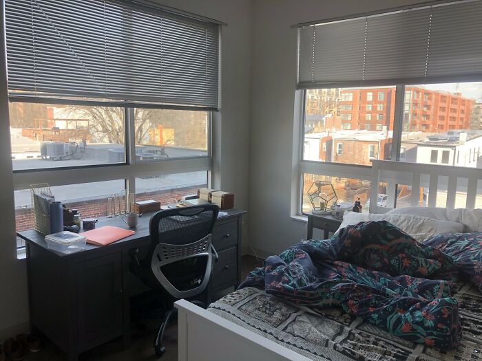 There-Is-No-Cat-Images