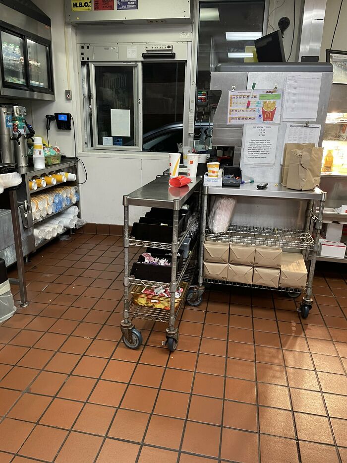 There-Is-No-Cat-Images