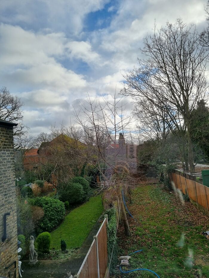 30 Cats Who Are The True Masters Of 'Hide And Seek' As Shared On This Twitter Page