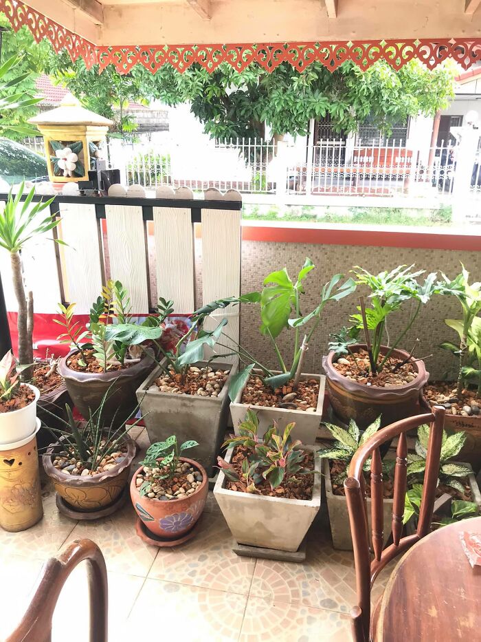 30 Cats Who Are The True Masters Of 'Hide And Seek' As Shared On This Twitter Page