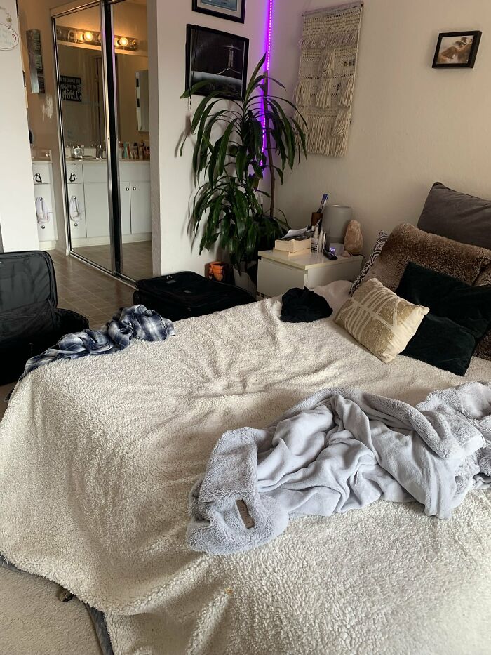 30 Cats Who Are The True Masters Of 'Hide And Seek' As Shared On This Twitter Page