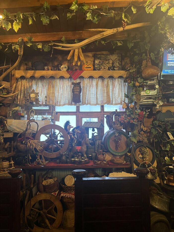 30 Cats Who Are The True Masters Of 'Hide And Seek' As Shared On This Twitter Page