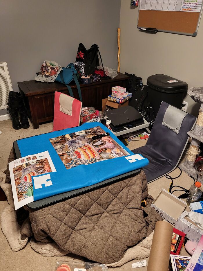 There-Is-No-Cat-Images