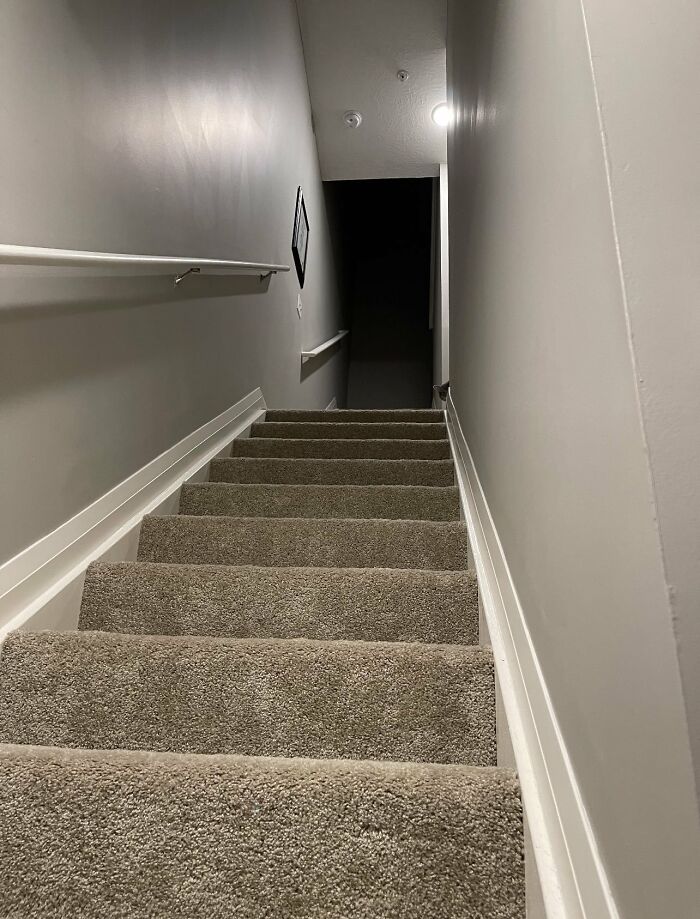 30 Cats Who Are The True Masters Of 'Hide And Seek' As Shared On This Twitter Page