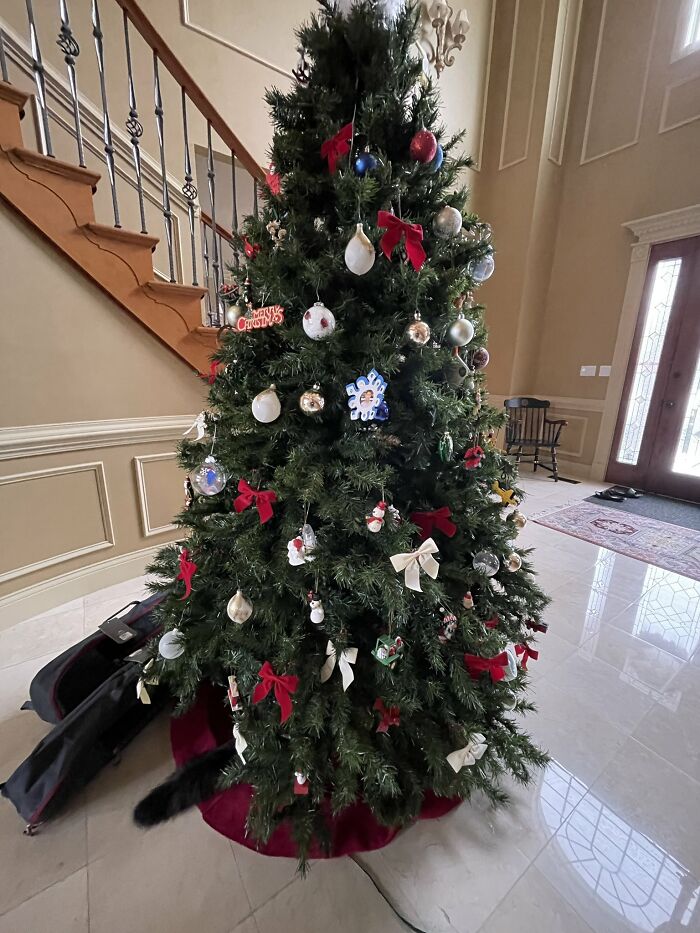 There-Is-No-Cat-Images