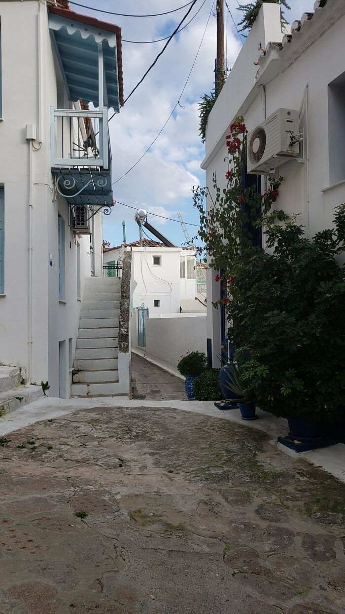 There-Is-No-Cat-Images