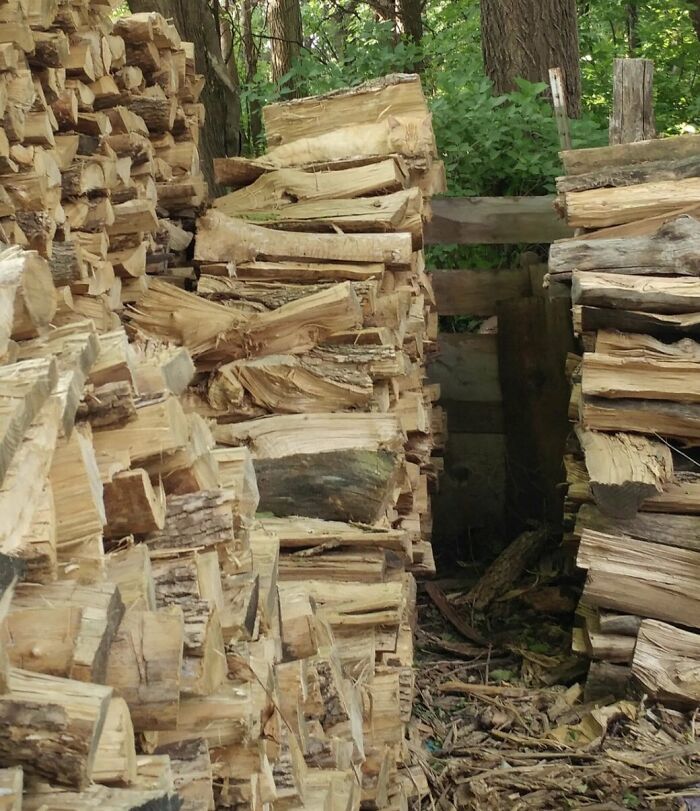 30 Cats Who Are The True Masters Of 'Hide And Seek' As Shared On This Twitter Page