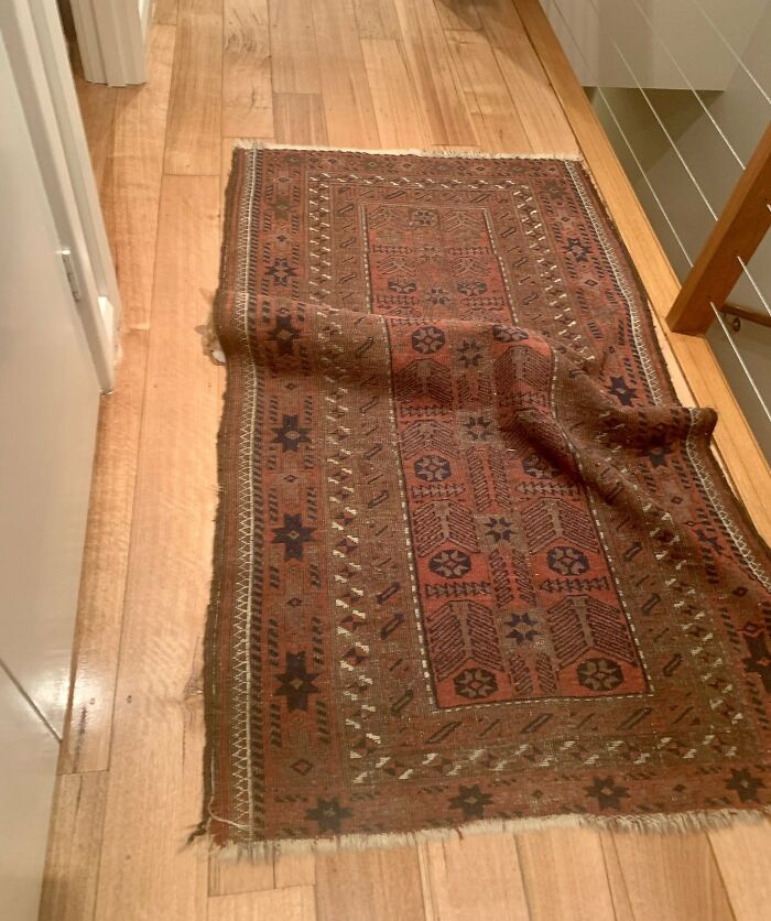 30 Cats Who Are The True Masters Of 'Hide And Seek' As Shared On This Twitter Page