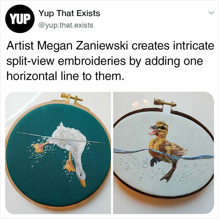 Things-Never-Knew-Existed-Posts