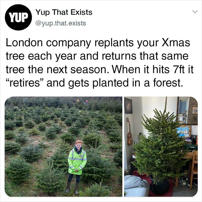 Things-Never-Knew-Existed-Posts