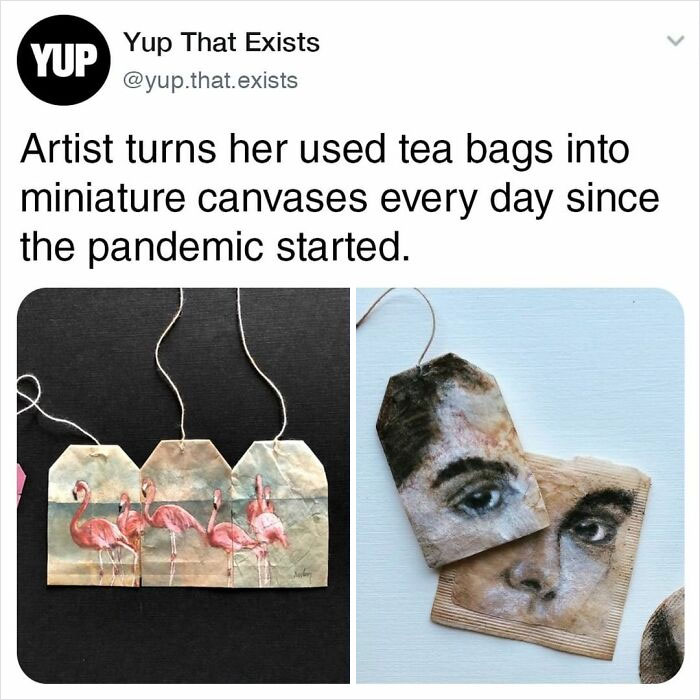 Things-Never-Knew-Existed-Posts