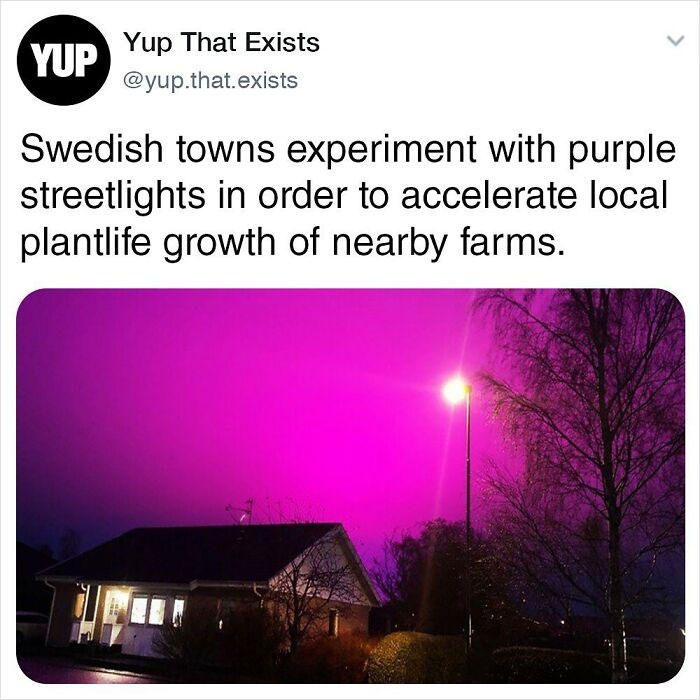 Things-Never-Knew-Existed-Posts