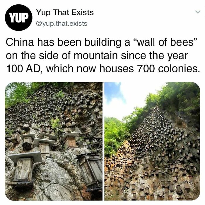 Things-Never-Knew-Existed-Posts