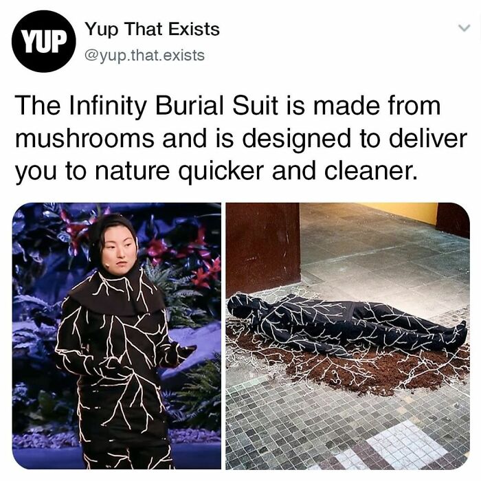 Things-Never-Knew-Existed-Posts