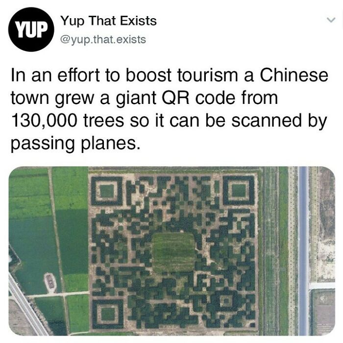 Things-Never-Knew-Existed-Posts