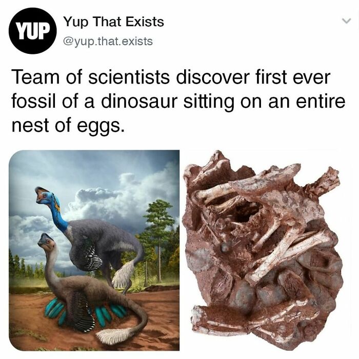 Things-Never-Knew-Existed-Posts